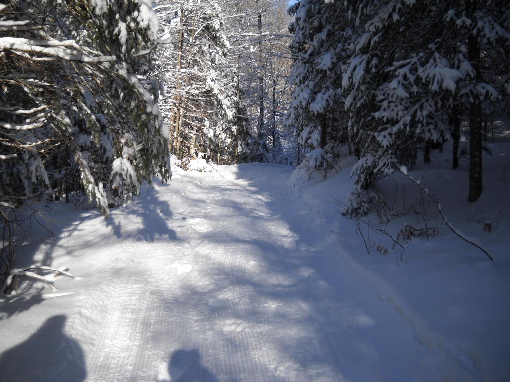 Lakeview Haliburton