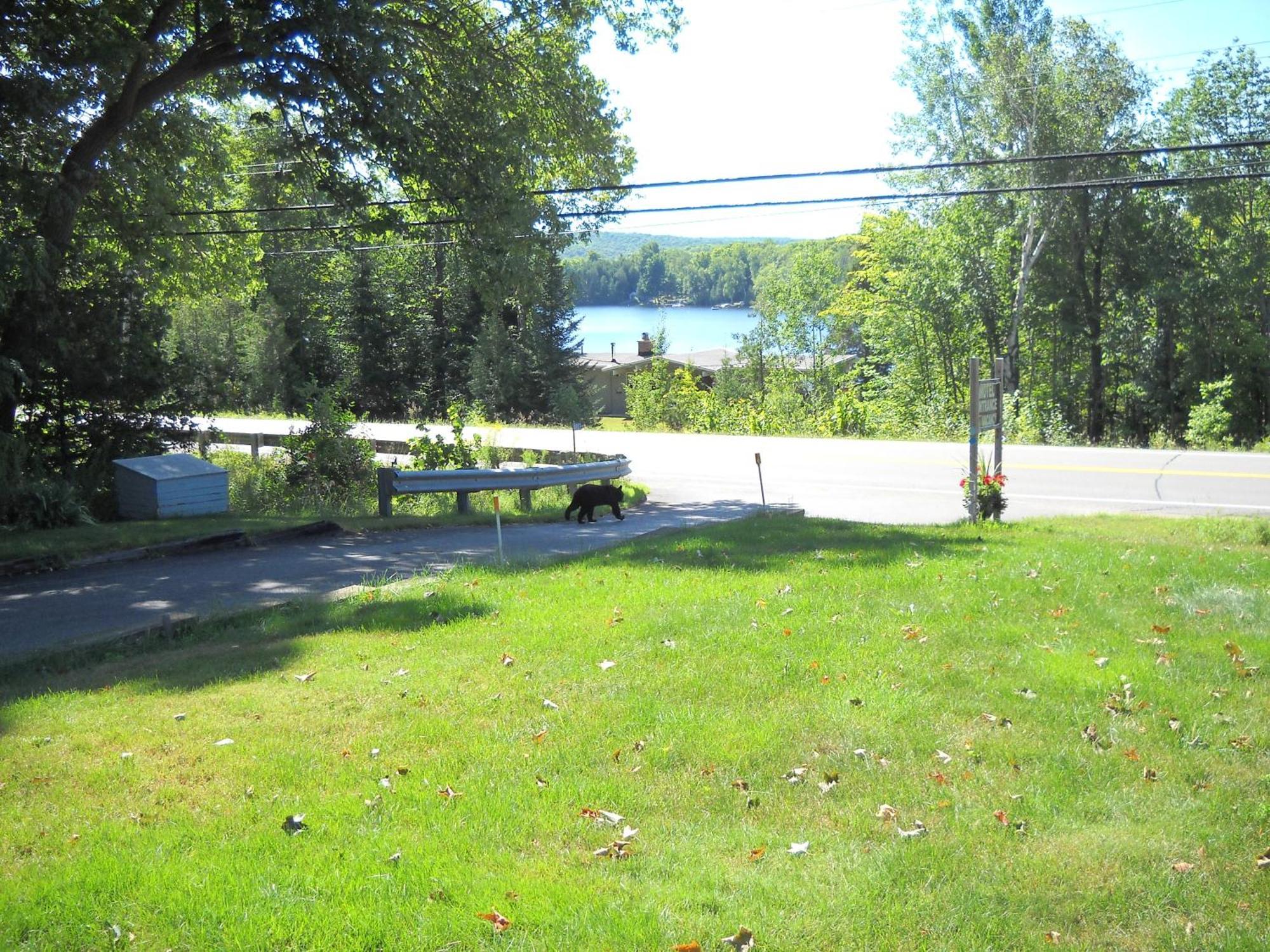Motel Lakeview